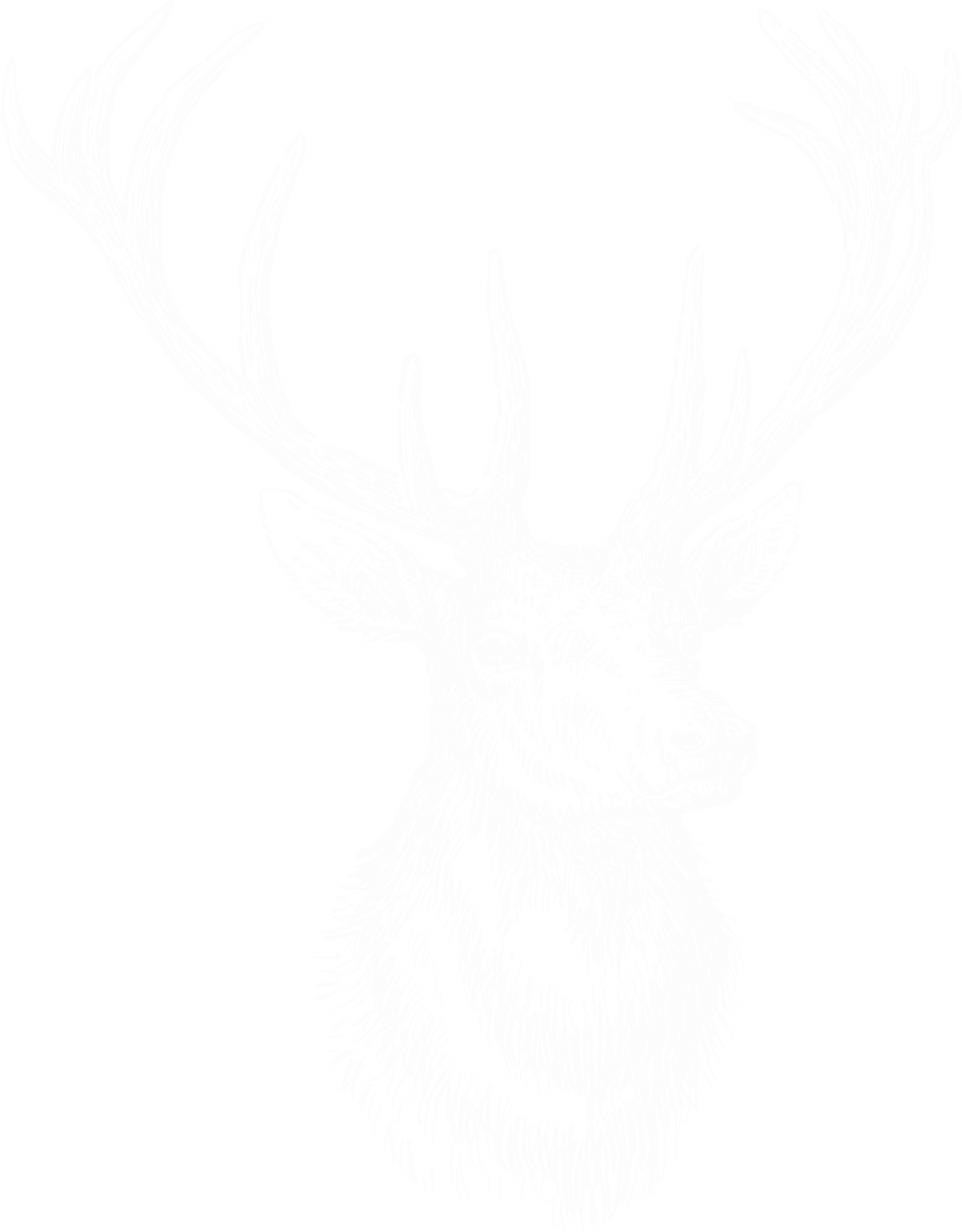 Logo von Wildbret Alpenblick