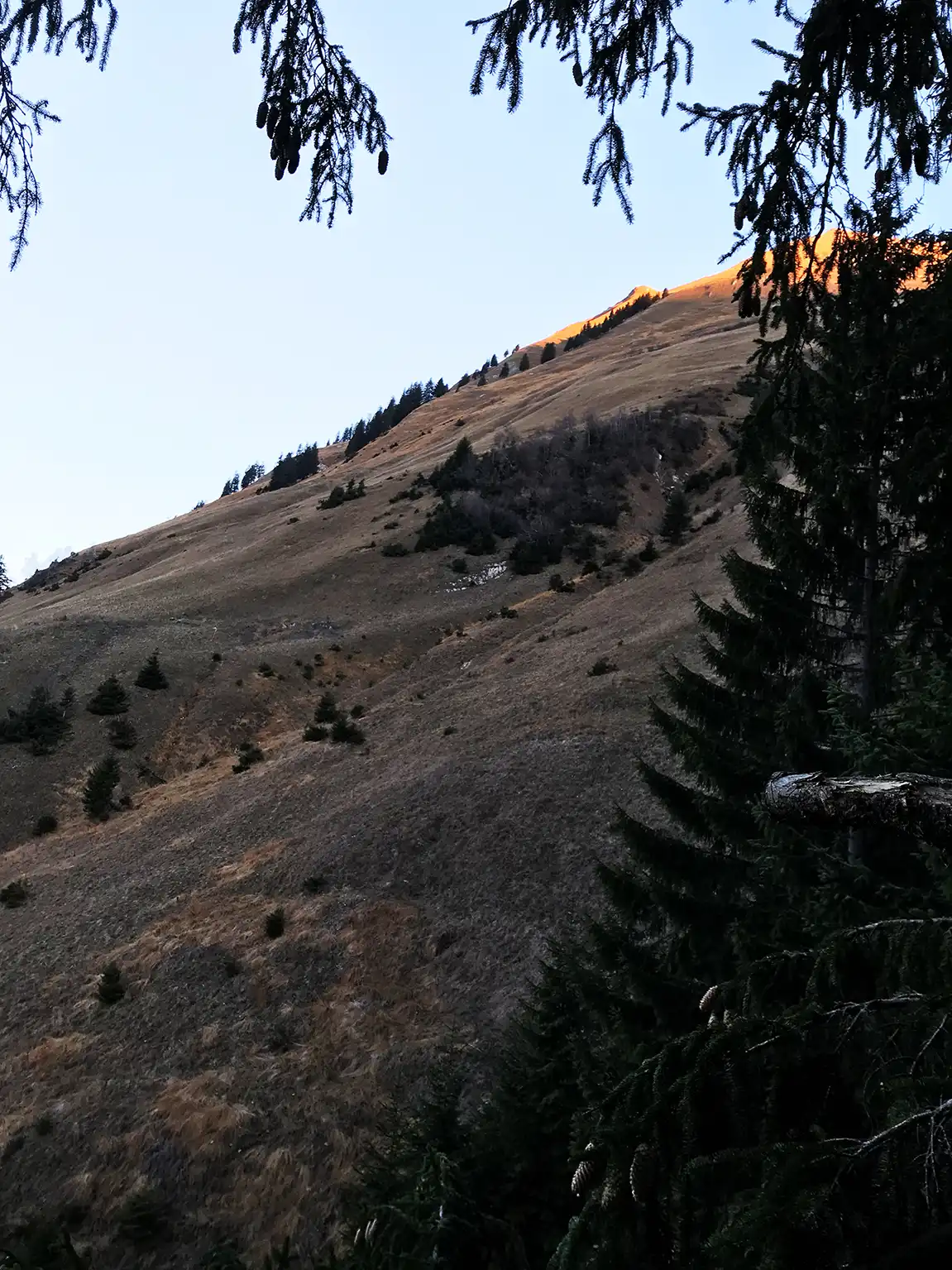 Weide in den Bergen im Herbst